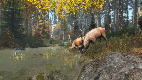 A survivor crouches near a wild boar in autumn grass.